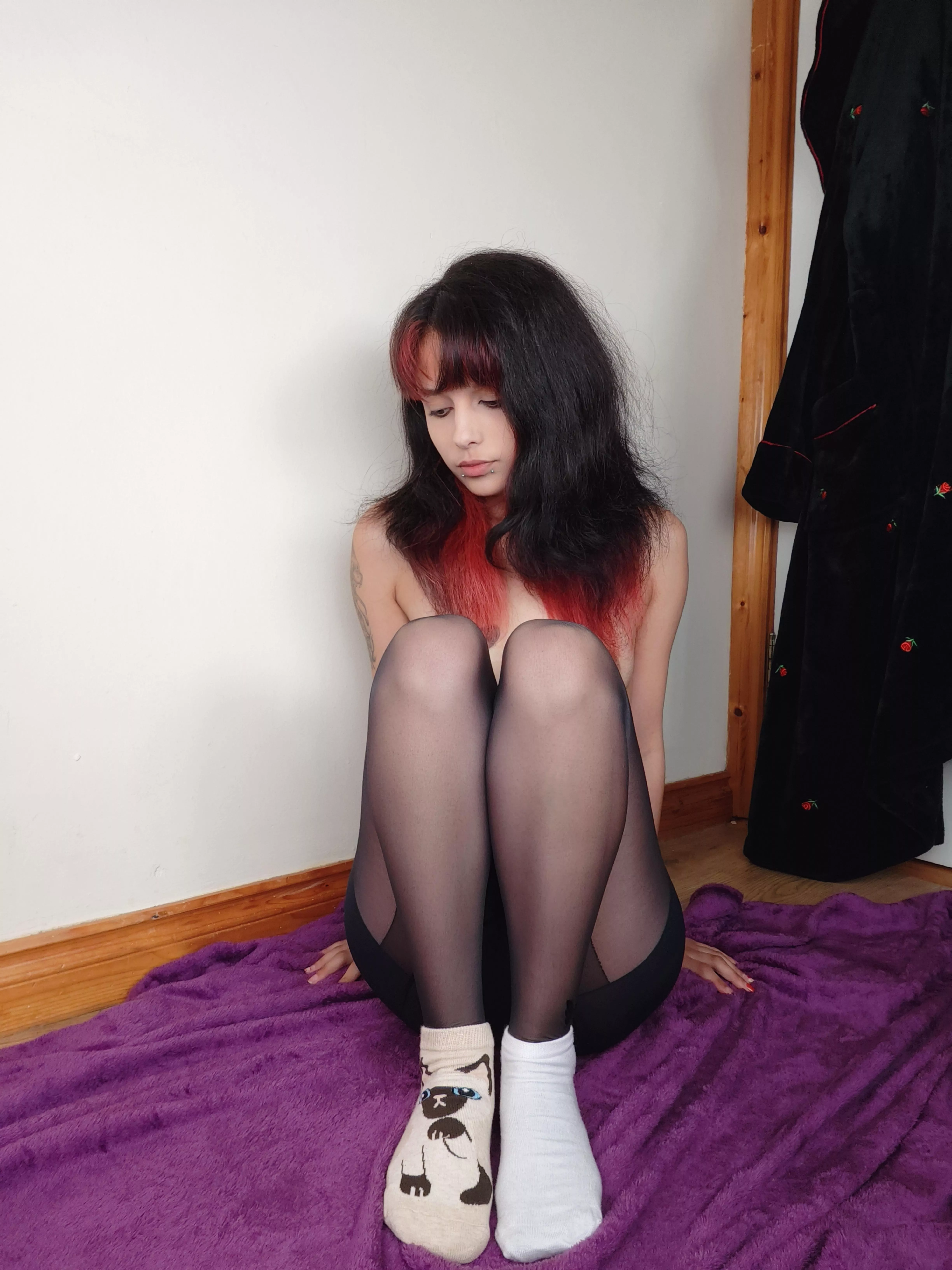 which is the best i asked myself kitty or plain 