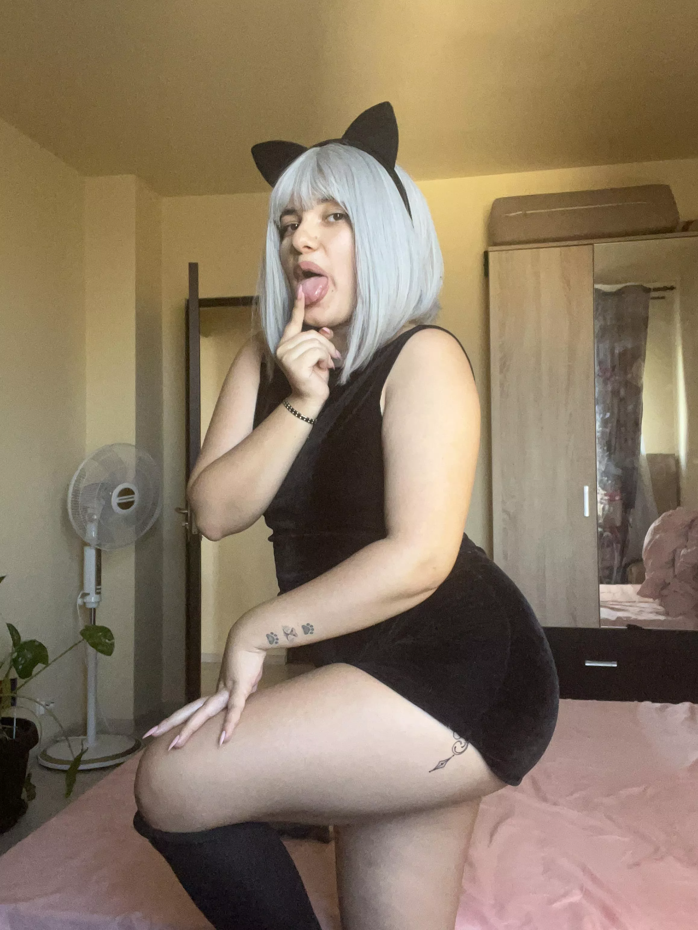 Would you let me to lick you