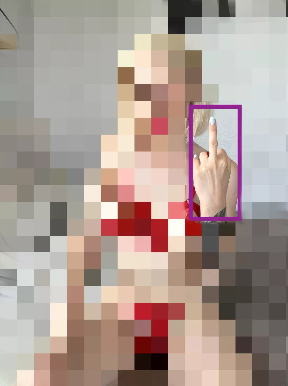 You asked me to send you nudes and I sent you what you deserve. 