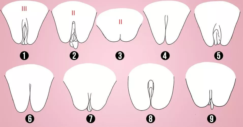 37 [M4F] 7 pussy's so far. What is your shape? Show me in a DM