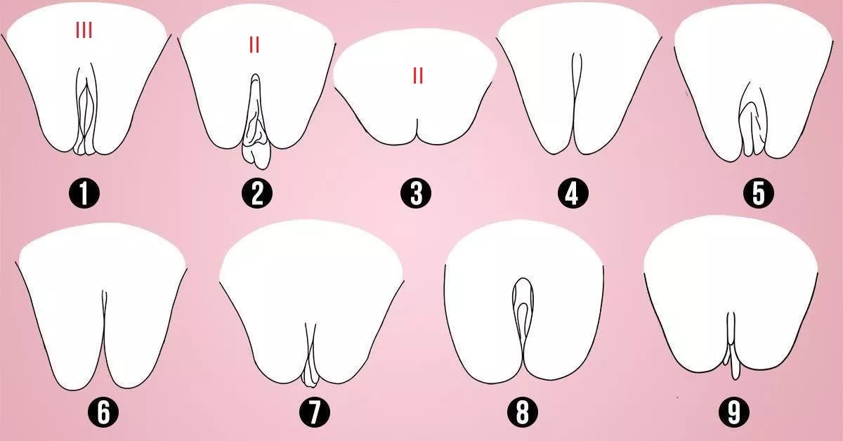 37 [M4F] 7 pussy's so far. What is your shape? Show me in a DM