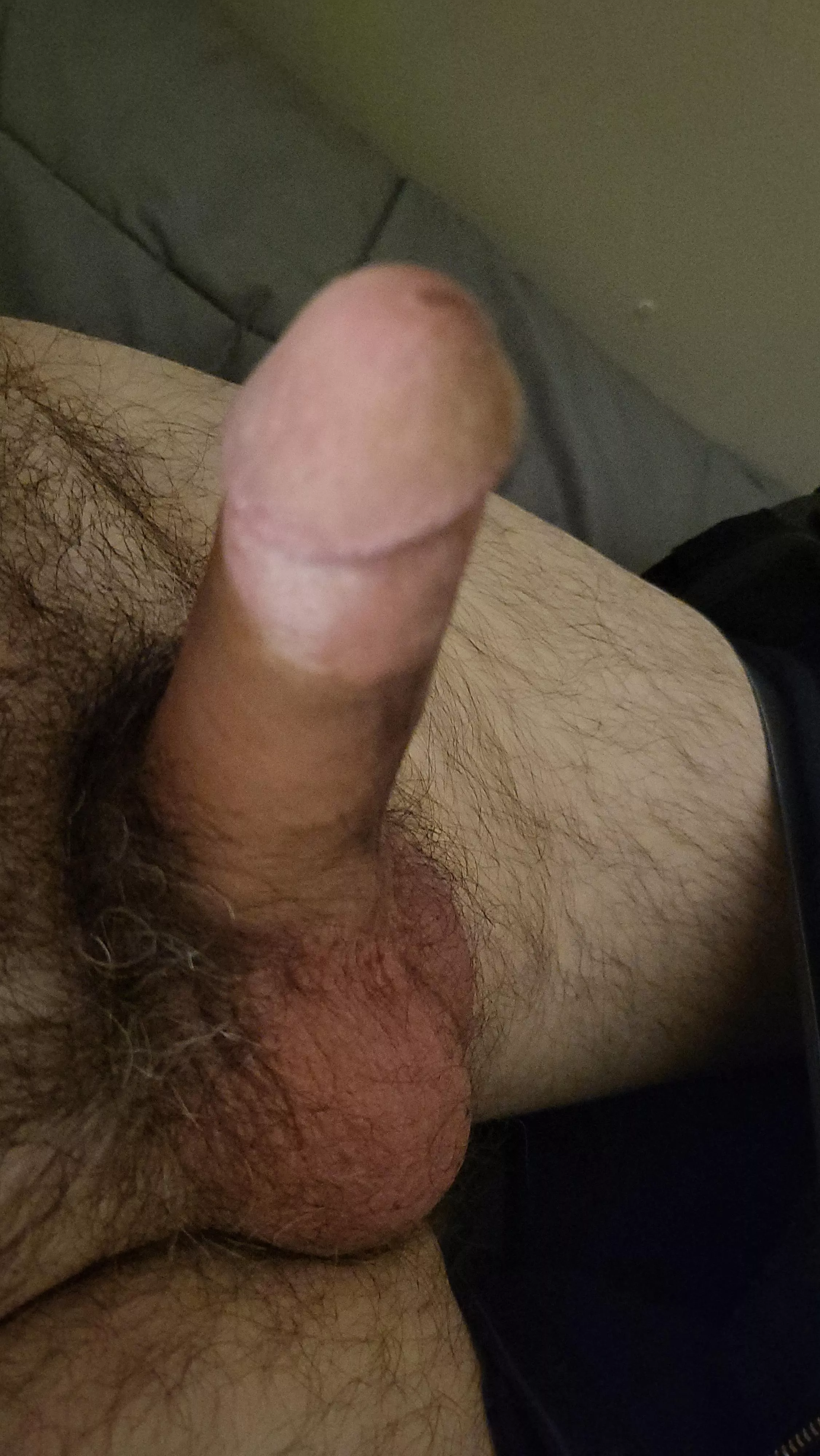 [52] horny dad home alone later tonite. What do you have in mind?