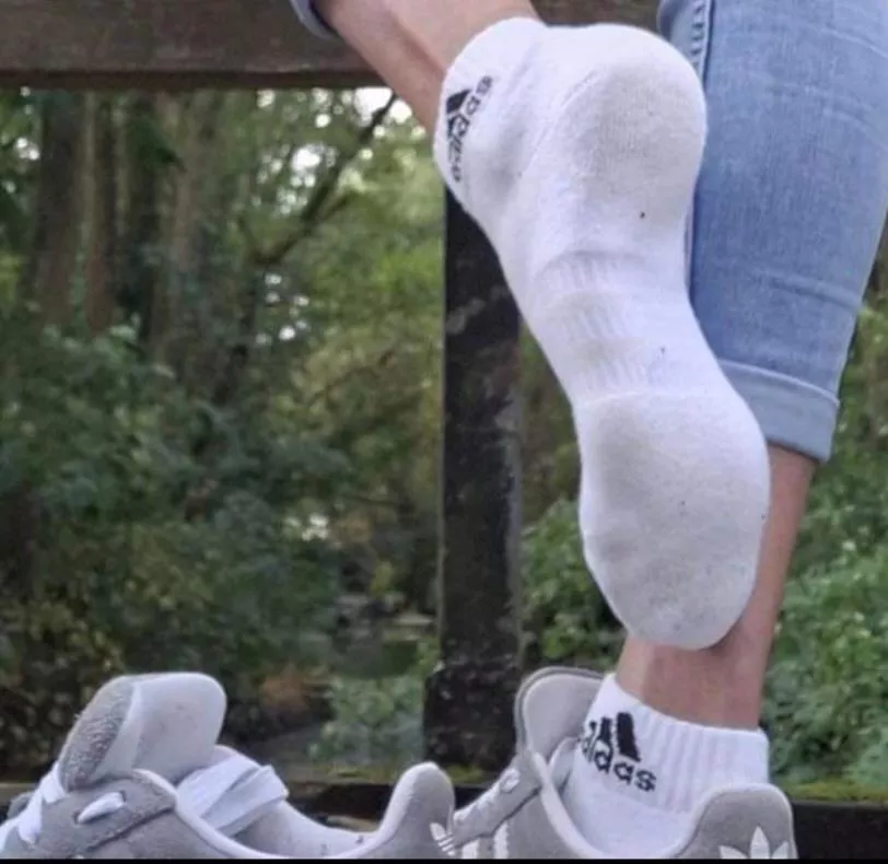 Adidas socks 