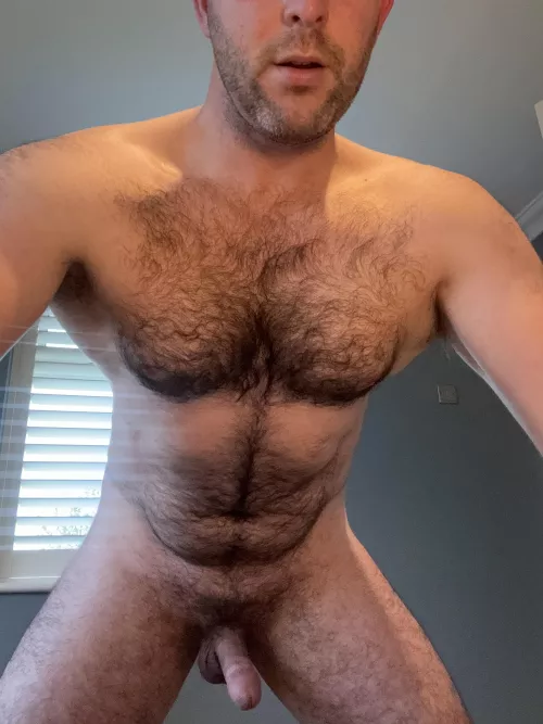 Any Fs like to be under a guy with some fur? 40 m uk. DMs are open