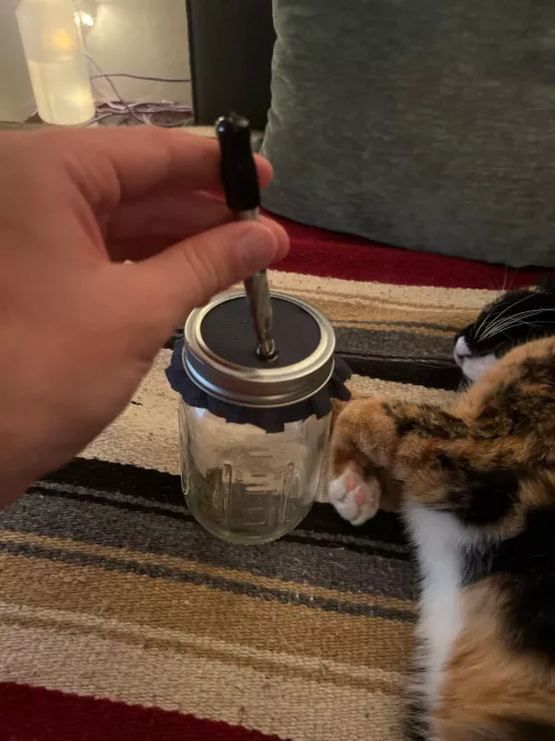 Ash jar for the Dyna so I don’t have to get off the couch. 