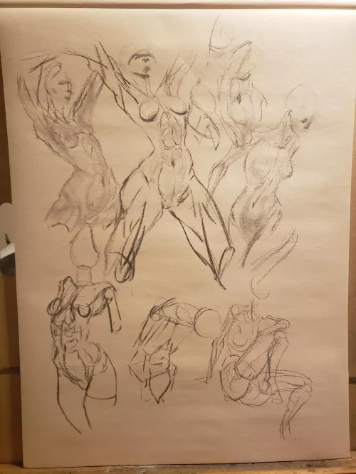 Charcoal tummy study