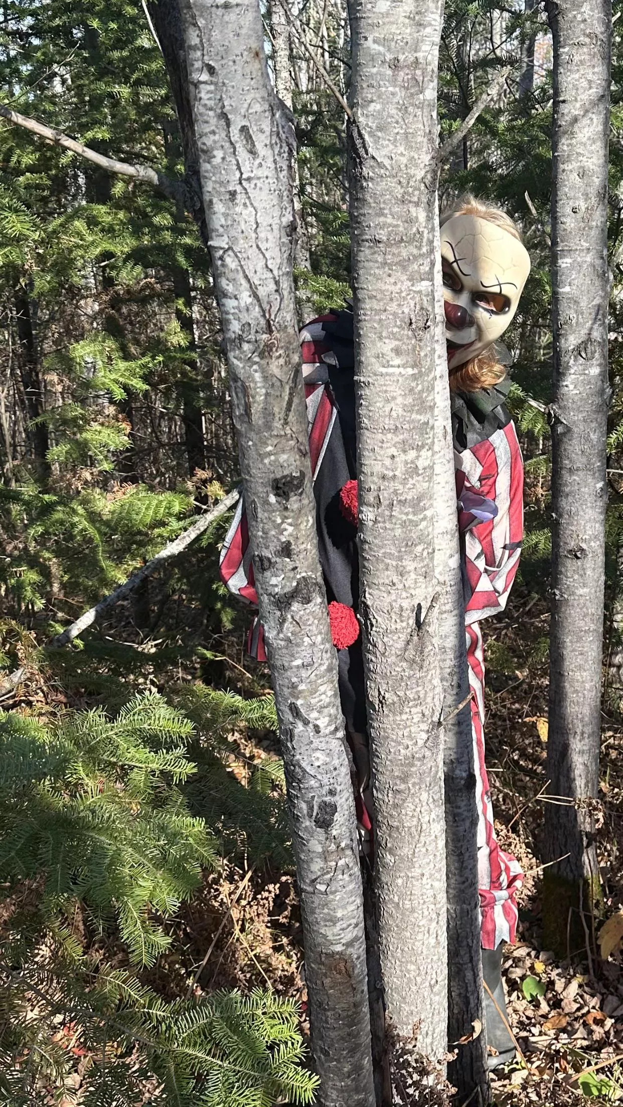 Clown around in the woods?