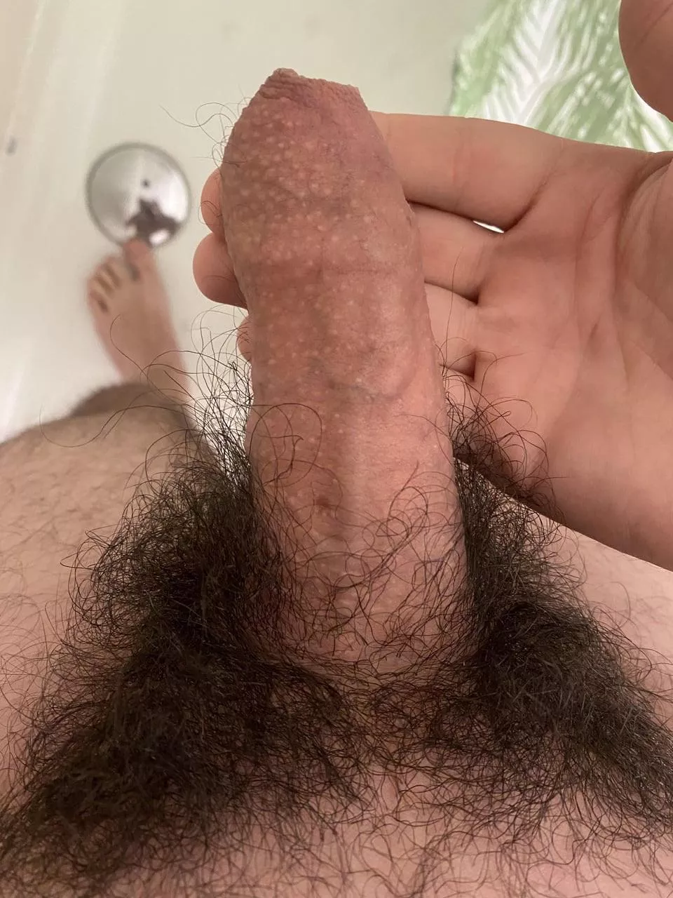 Covered and hairy 😥. What do you think?