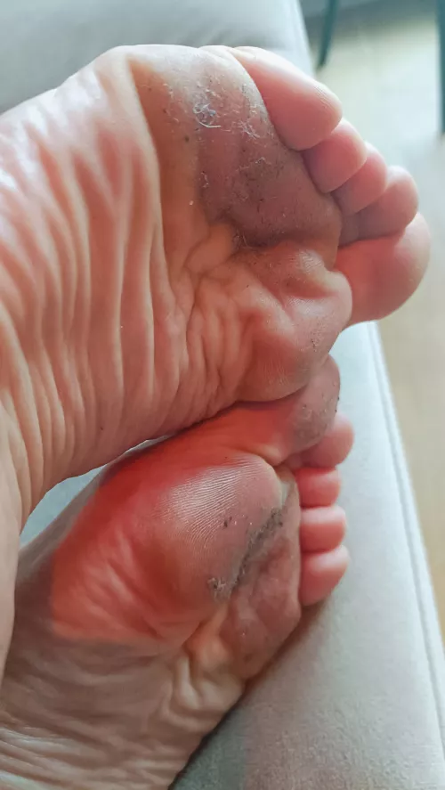 Dinner is served for the lint lover ... 👄 