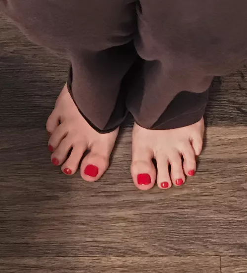 Do you think they are cute?