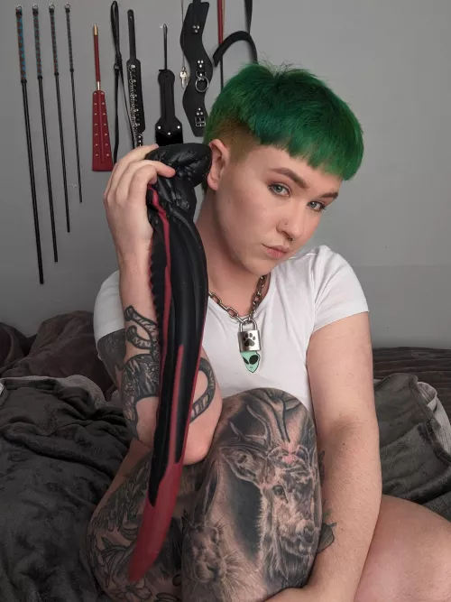 first timer here, you think I could do this?