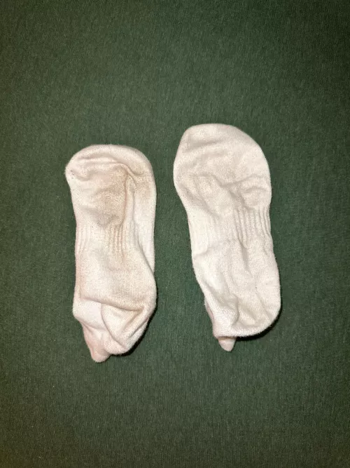GF Socks