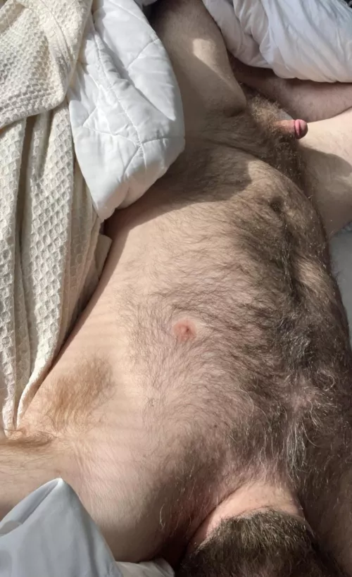 Hotel bed requests another guest 