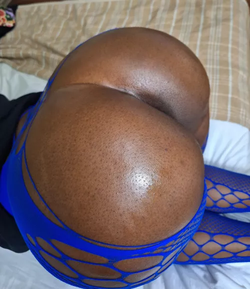 How many loads can you feed me