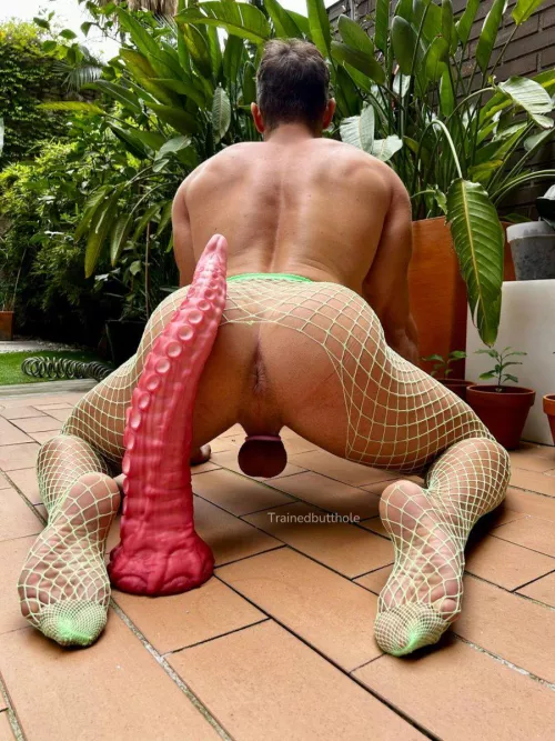 How many octopus 🐙 suckers you'll think I can get?