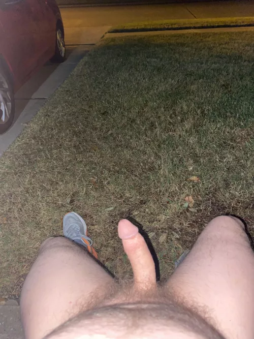 I wonder what the neighbors think, age 55