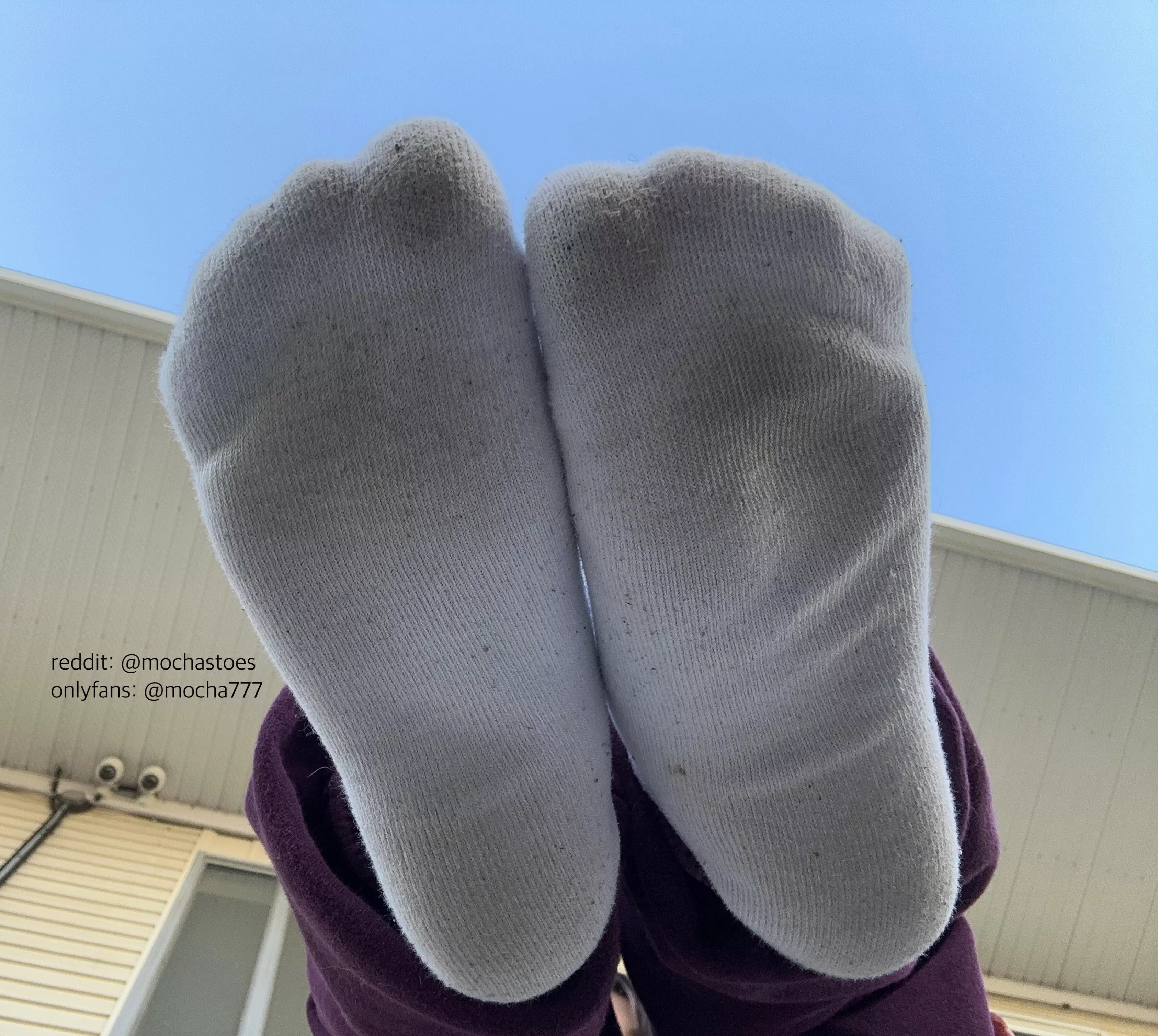 im taking them hiking today🥰 [F]