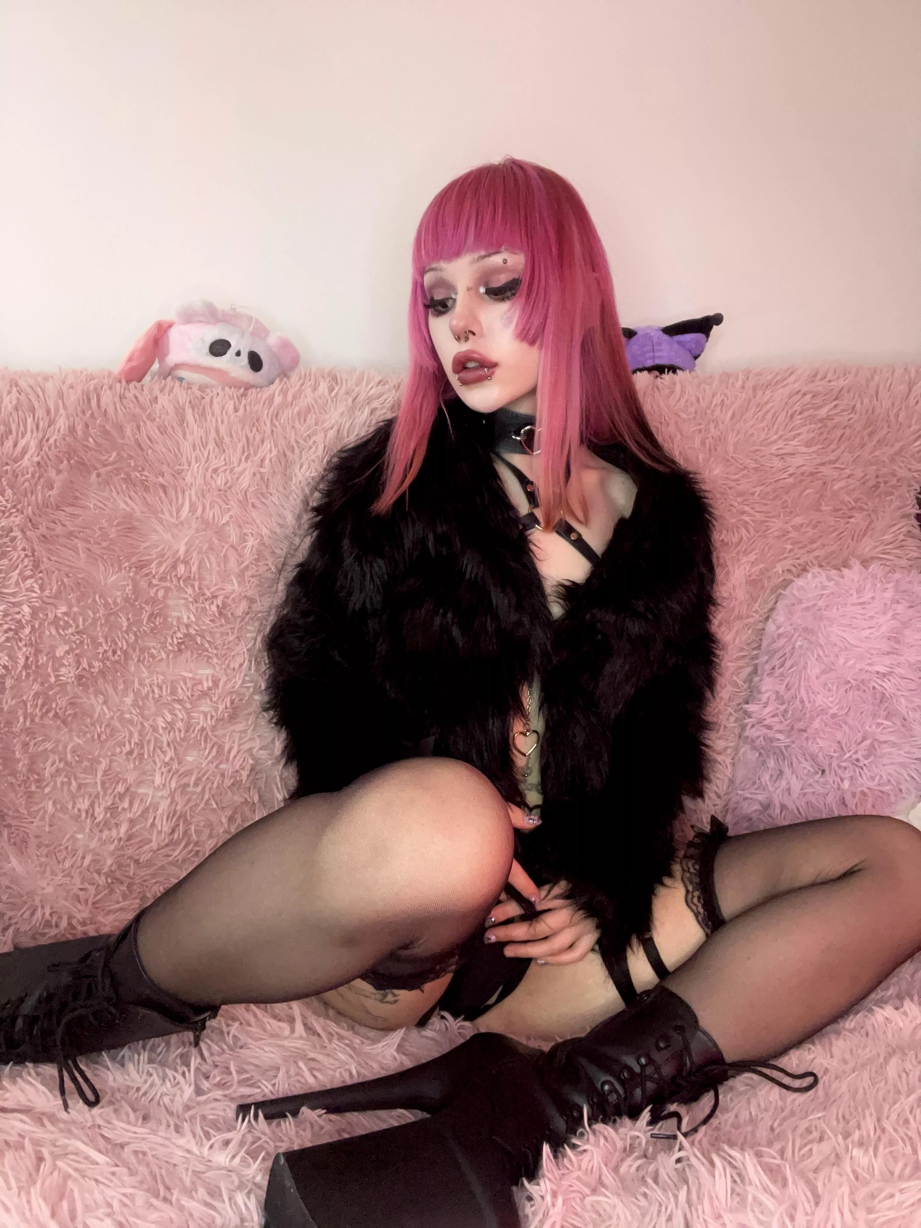 Lick a shoe or fall under it? 😌