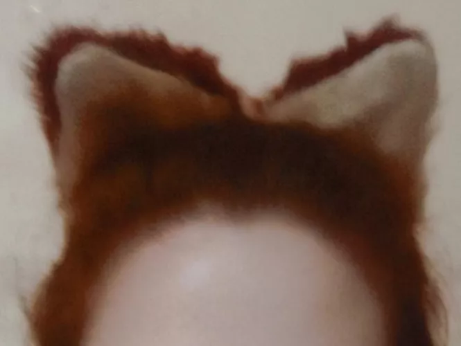 Love my kitty ears! 😻🩷