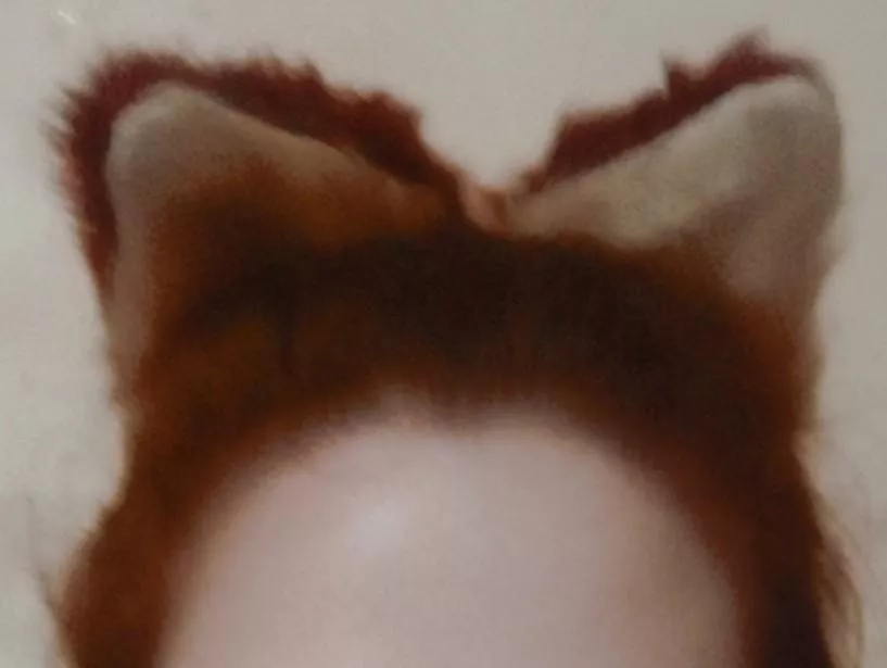 Love my kitty ears! 😻🩷