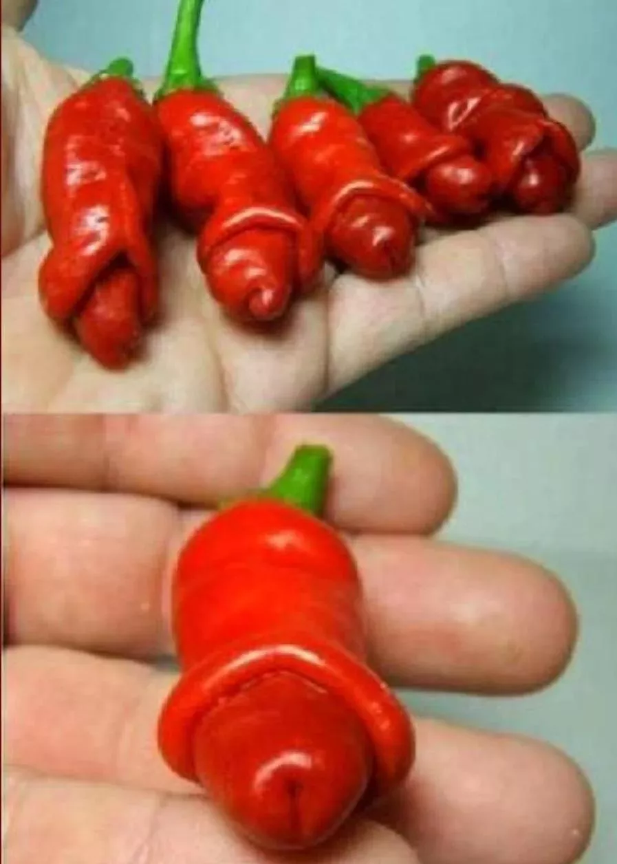 Loving the tdick representation in the gardening community 