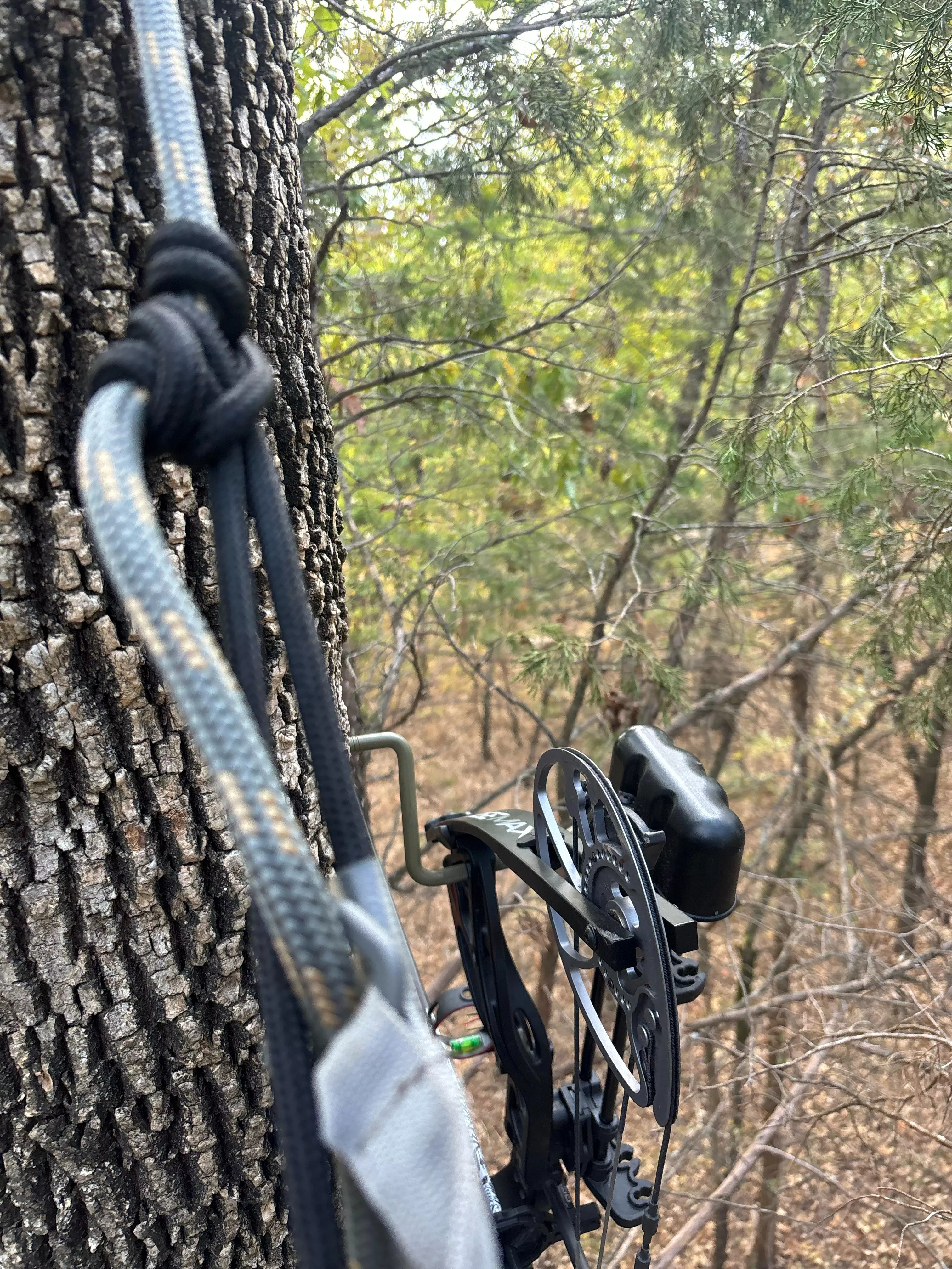 M4F someone entertain me