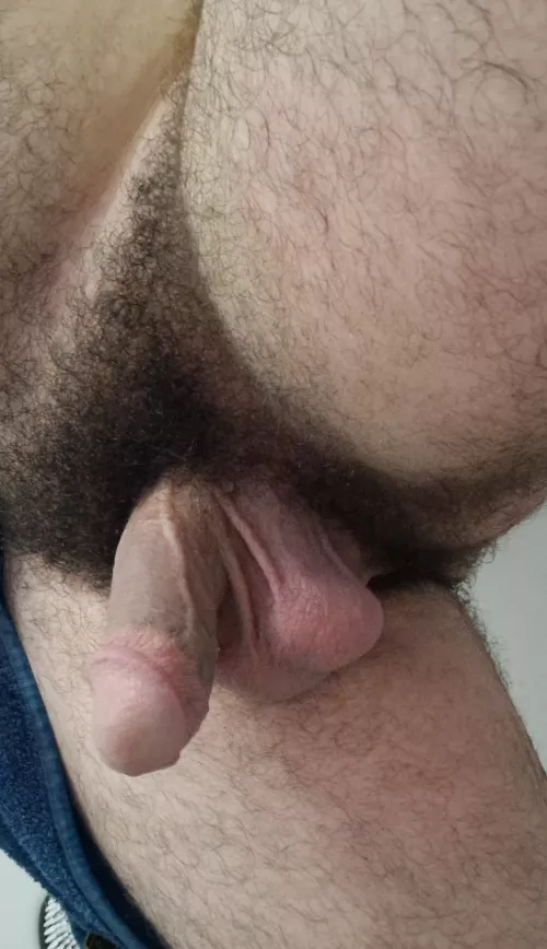 Moderate pubes ?