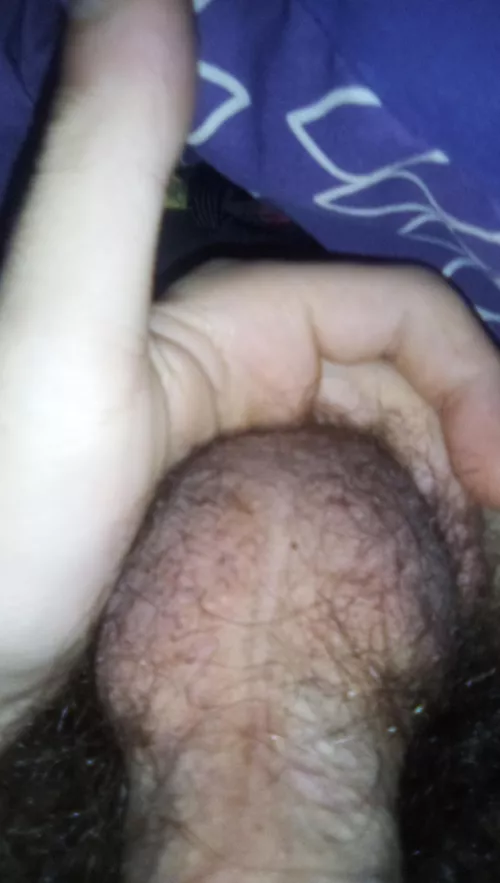 More of my hairy balls