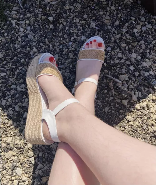 My favorite platforms [oc]