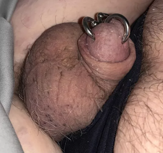 My mistress made me grow my hair back our….how do I look?