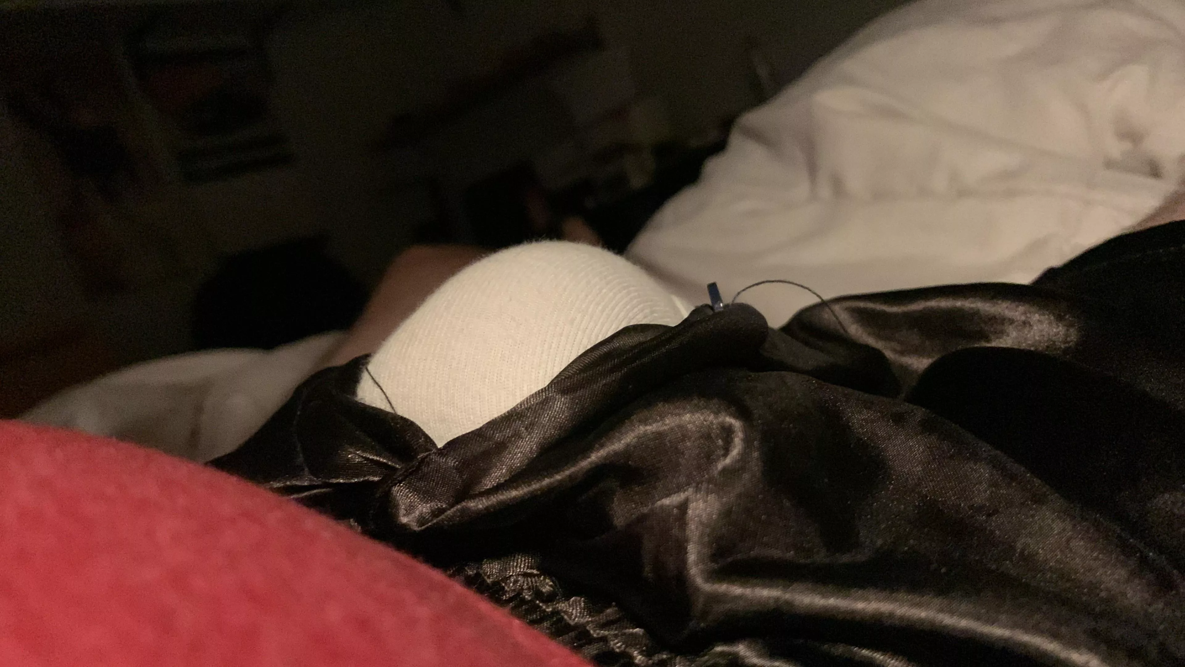 My tent this morning (42)