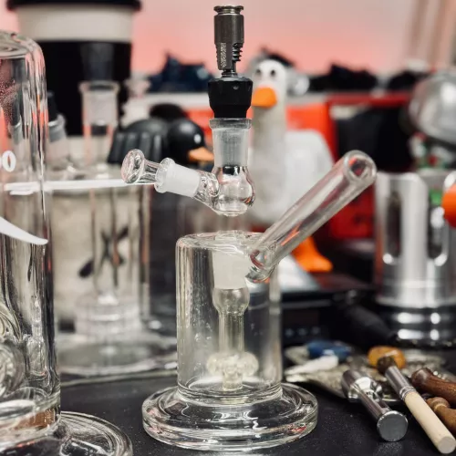 POTV Thumper + hyper 🤌🏻