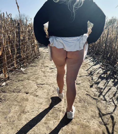 Quick flash at the pumpkin patch! I wonder who else saw!