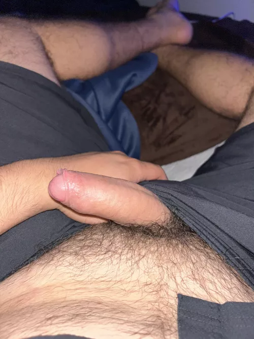 SE can host or travel