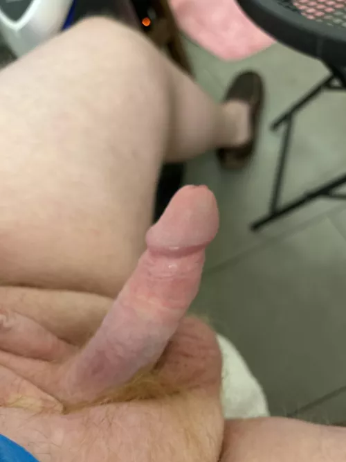 Small Ginger Cock