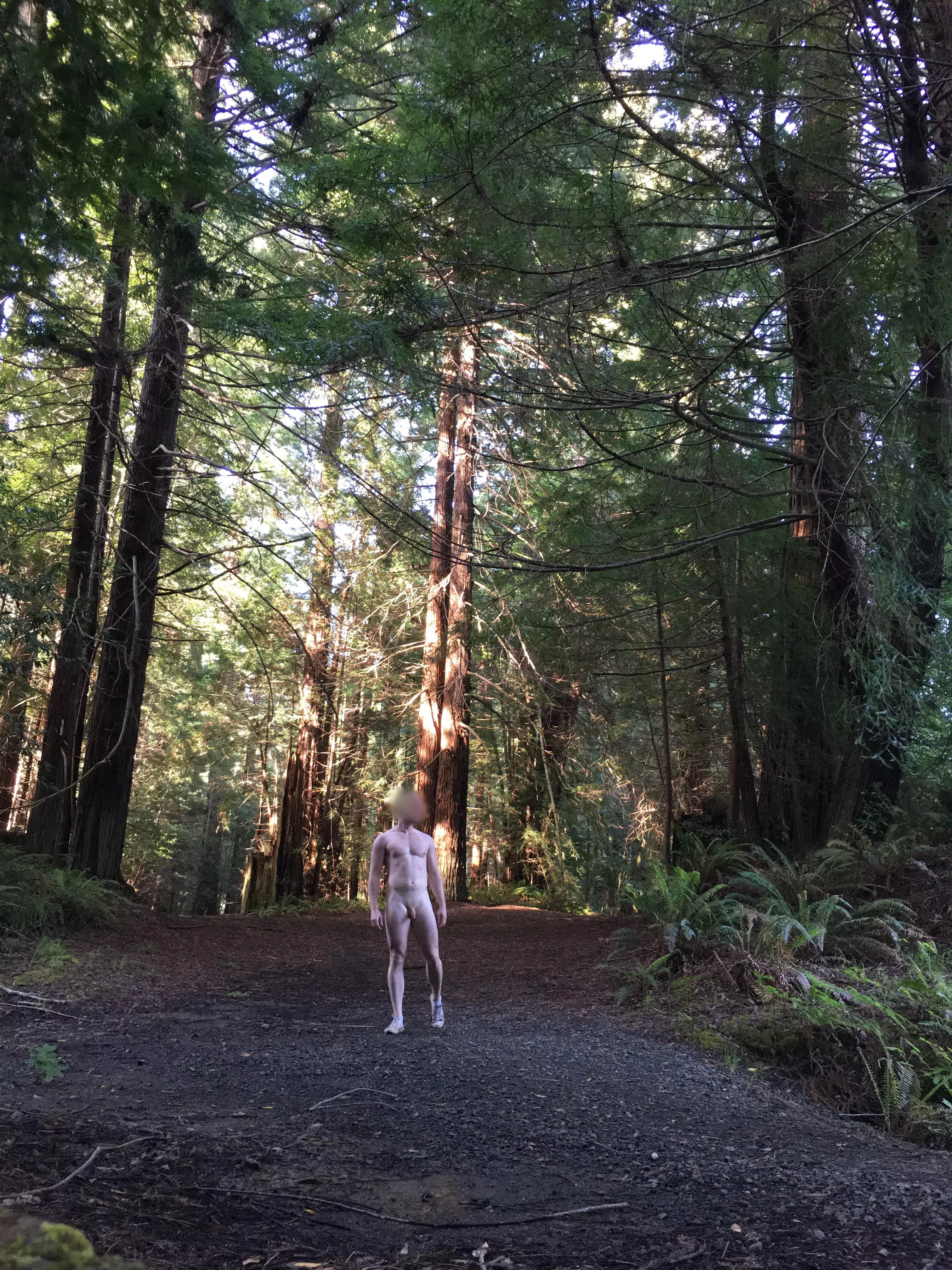 Strolling through the trees