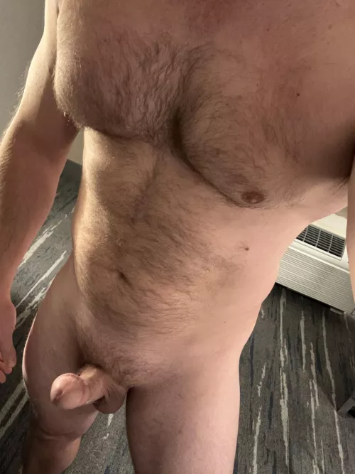 Sunday night is for the bears