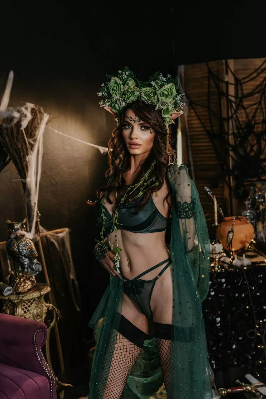 The princess of the elfs is waiting for you