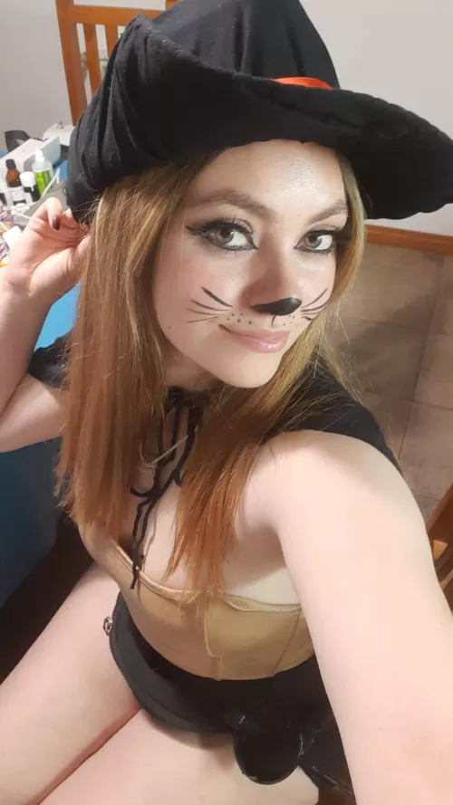 This kitten will make you drink your milk