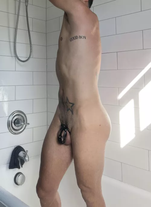 Trying my very bestest to be a GOOD BOY. 🔐