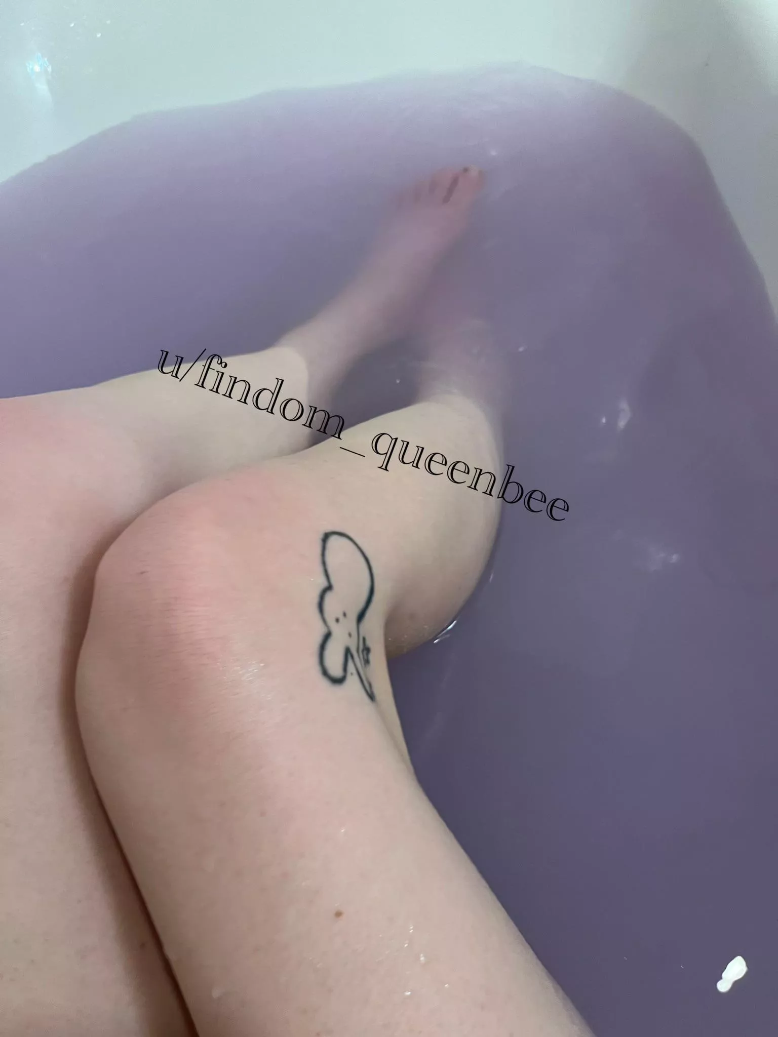 upvote drain game! - NOT THE POST