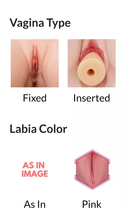 What is your meaning about removeable vagina?