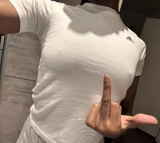 Which of you pigs is up for another drain 🐷😮‍💨💳