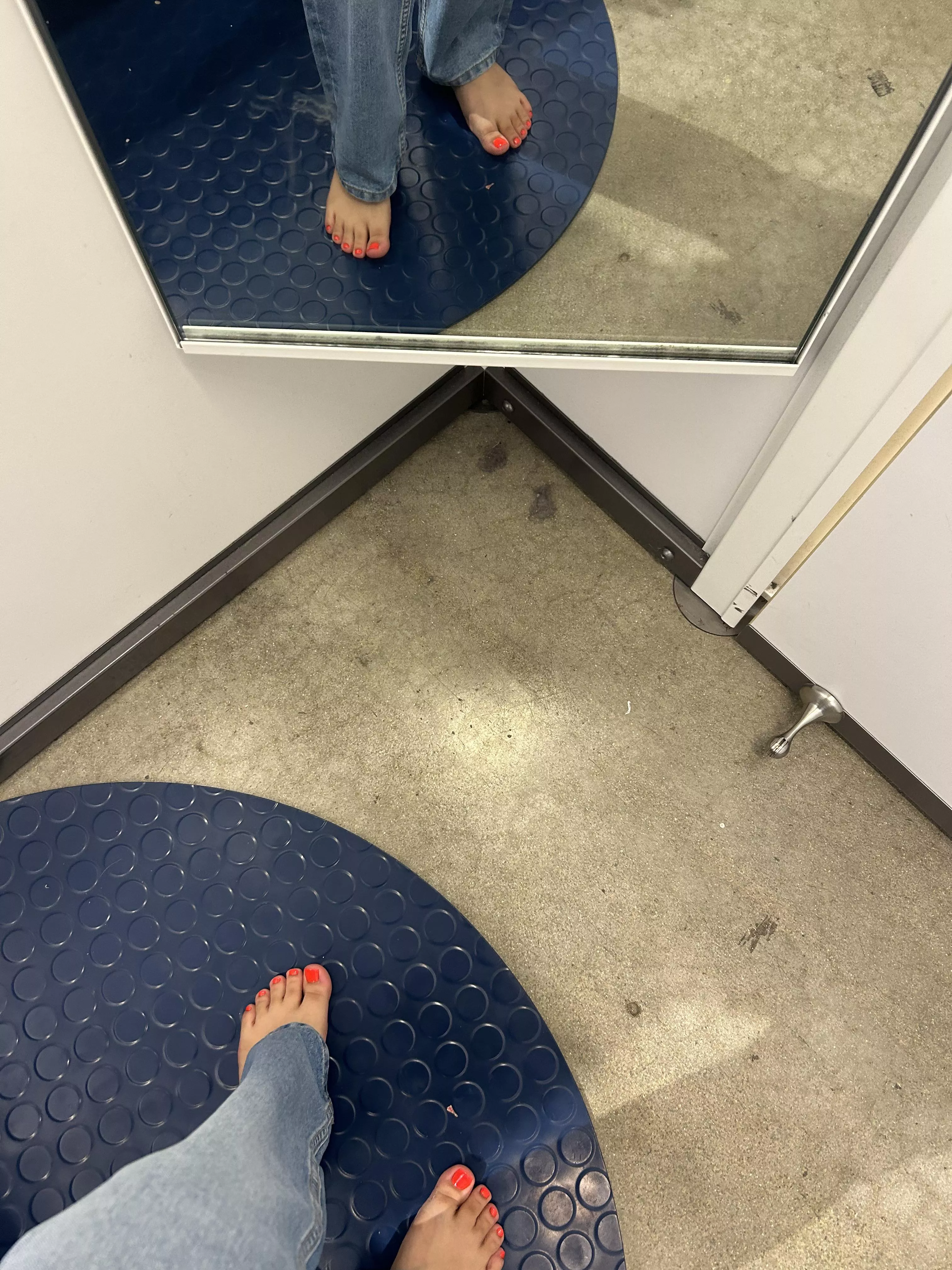 Would you let me lay these cute little piggys on your face ?