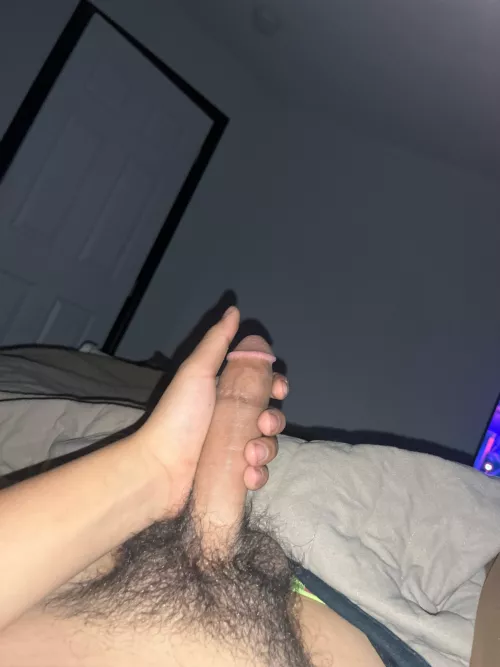19m in search of sugar mommy/daddy