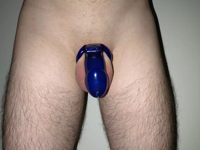 23 days without orgasm just edging , 13 days locked , I want so much to stroke it 🥵🥵