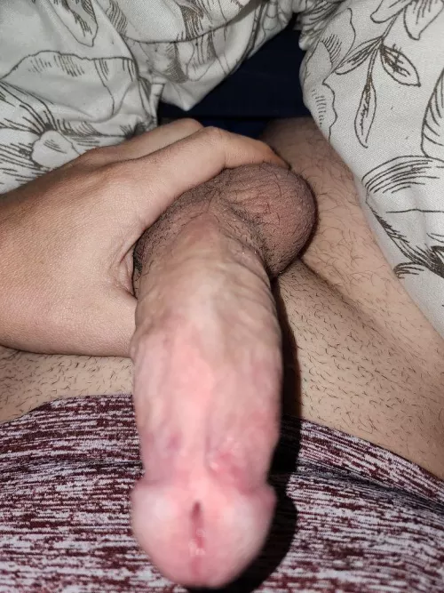 24 Lexington Nc how's it going