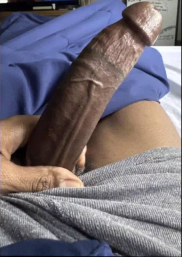 24 [m4t] dom dl, just want some head.Send pics for reply. T/fem/bottoms only