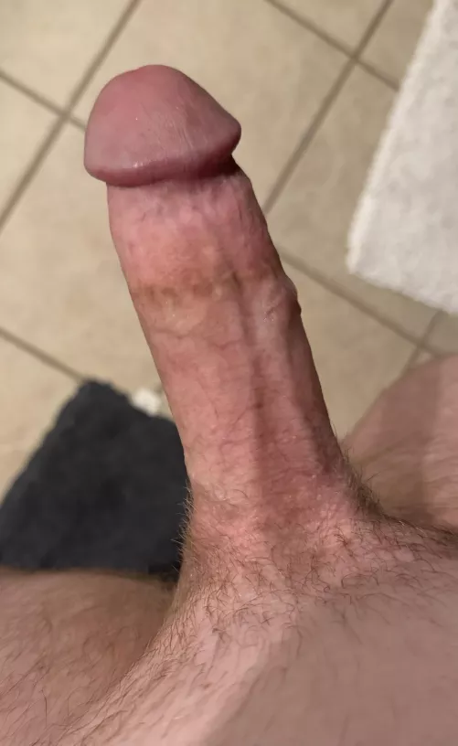 38 Jacksonville NC looking for a female or couple to play with
