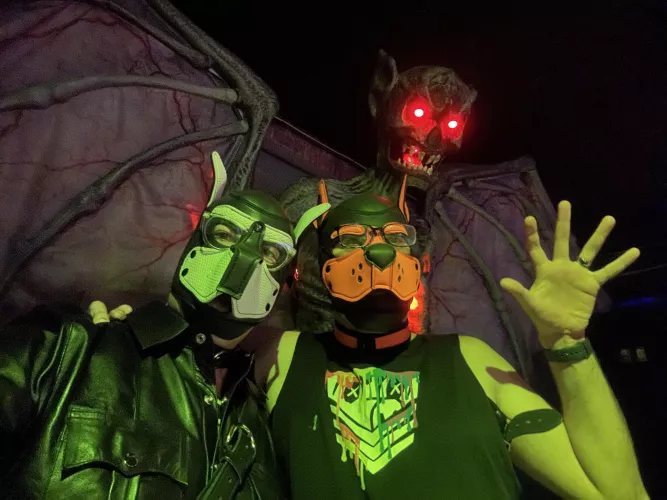 A couple of huspups out and about in Ft Lauderdale. 